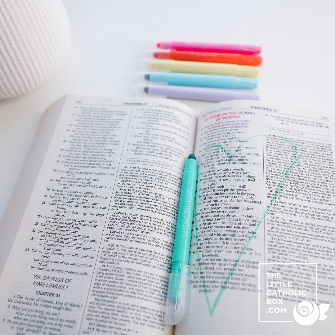 The Little Catholic Box (November 2023)